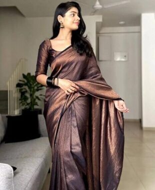 EcomX Women’s Brown Banarasi Art Silk Saree – Lightweight Traditional Wear